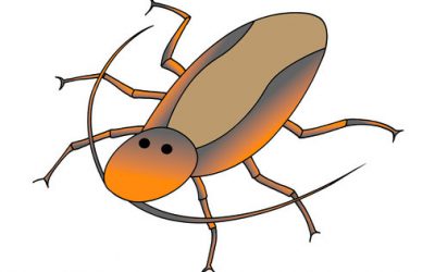 Lepiej zapobiegać, czyli podstawy testów jednostkowych